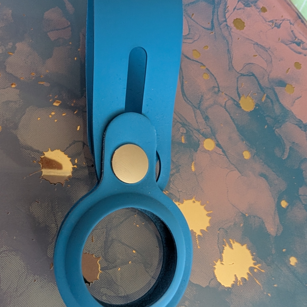 Blue and Gold Keychain Holder